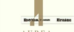 Aurea (D7), Apartment #486445441